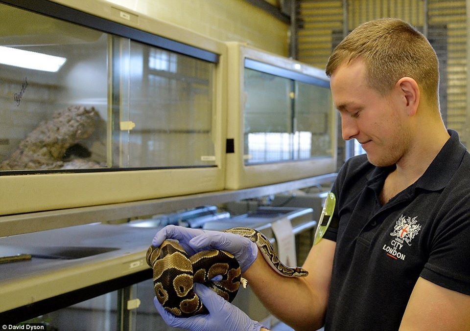 'So thu' dac biet o san bay Anh hinh anh