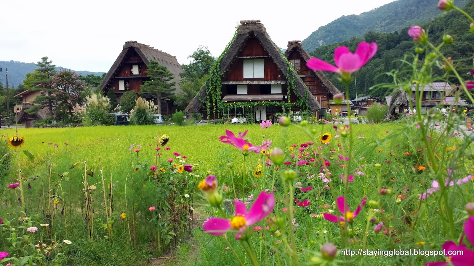Làng cổ Shirakawa-go  ảnh 9 Lang co Shirakawa-go anh 9