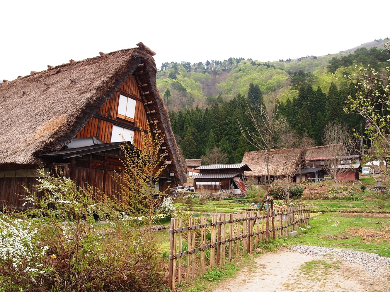 Làng cổ Shirakawa-go  ảnh 3 Lang co Shirakawa-go anh 3