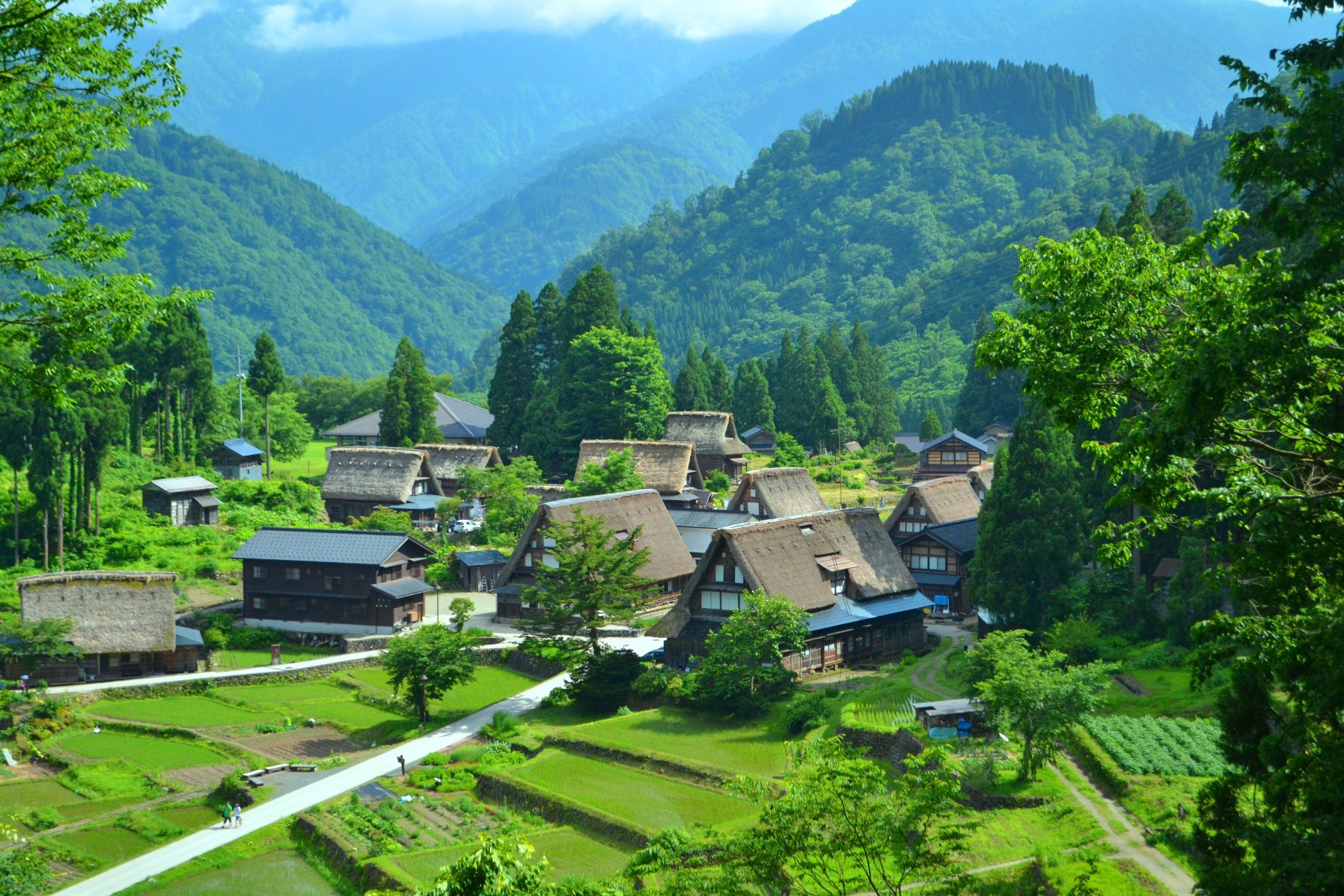 Làng cổ Shirakawa-go  ảnh 11 Lang co Shirakawa-go anh 11
