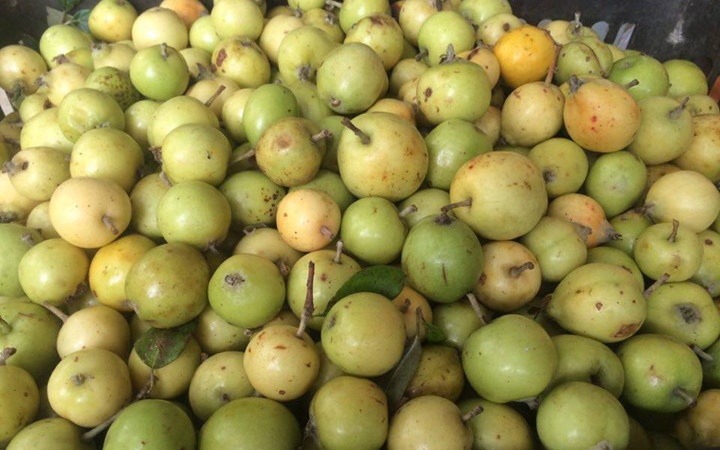 Nhung thuc pham cam ky doi voi nguoi huyet ap thap anh 3