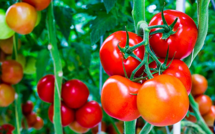 Nhung thuc pham cam ky doi voi nguoi huyet ap thap anh 4