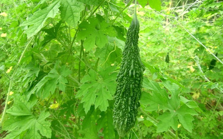 Nhung thuc pham cam ky doi voi nguoi huyet ap thap anh 8