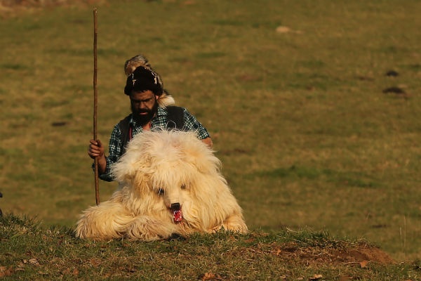 le hoi tam biet mua dong o Tay Ban Nha anh 8