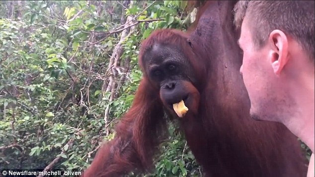 Co tinh chup anh, du khach bi duoi uoi tat vao mat hinh anh