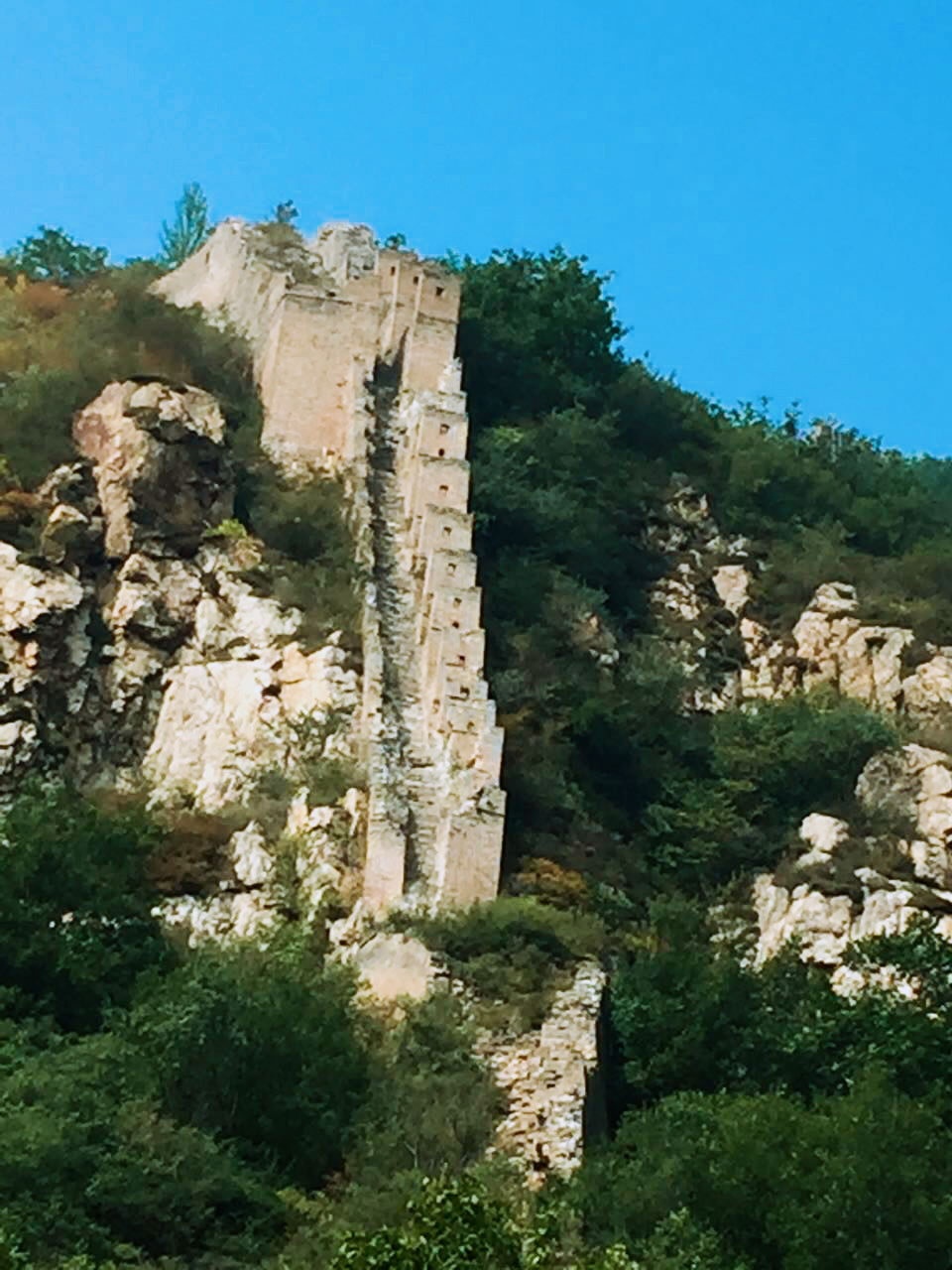 Van ly truong thanh dang keu cuu anh 2