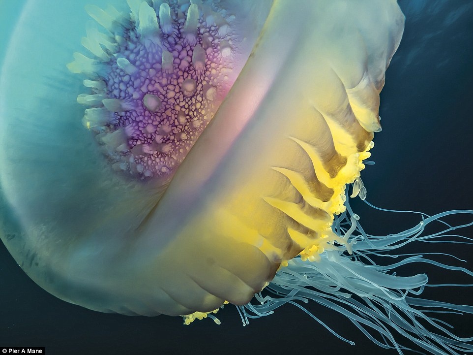 Nhung buc anh du lich ngoai troi dep nhat nam 2016. anh 11