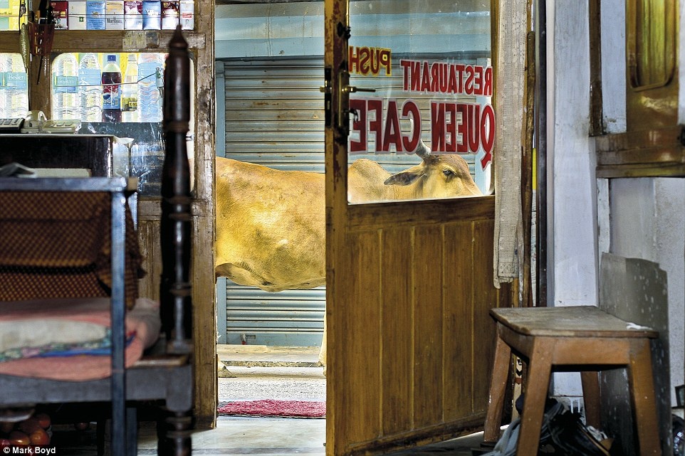 Nhung buc anh du lich ngoai troi dep nhat nam 2016. anh 13