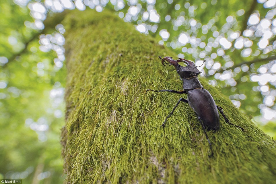 Nhung buc anh du lich ngoai troi dep nhat nam 2016. anh 16