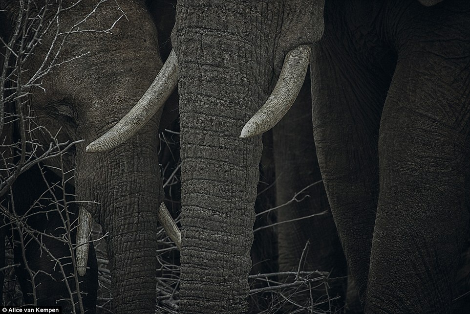 Nhung buc anh du lich ngoai troi dep nhat nam 2016. anh 6