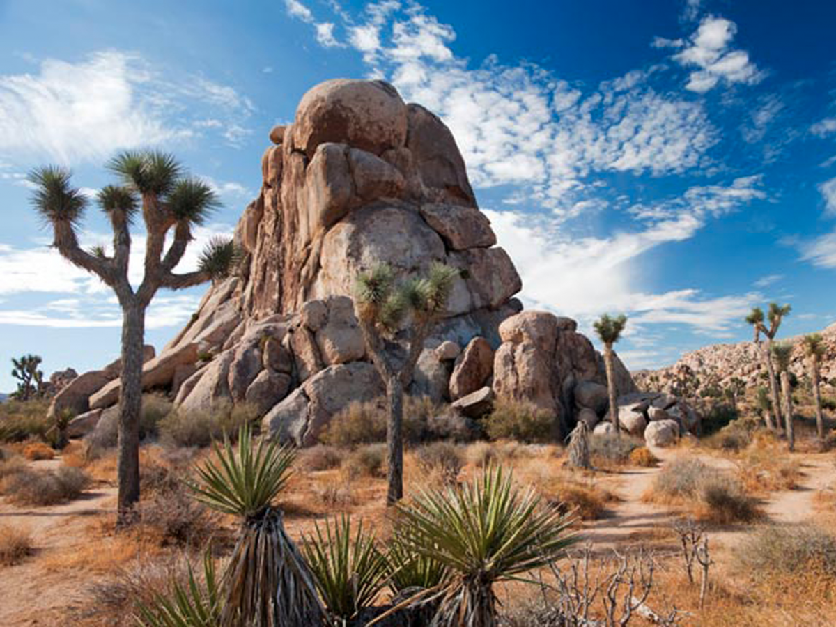 Cong vien quoc gia My anh 15