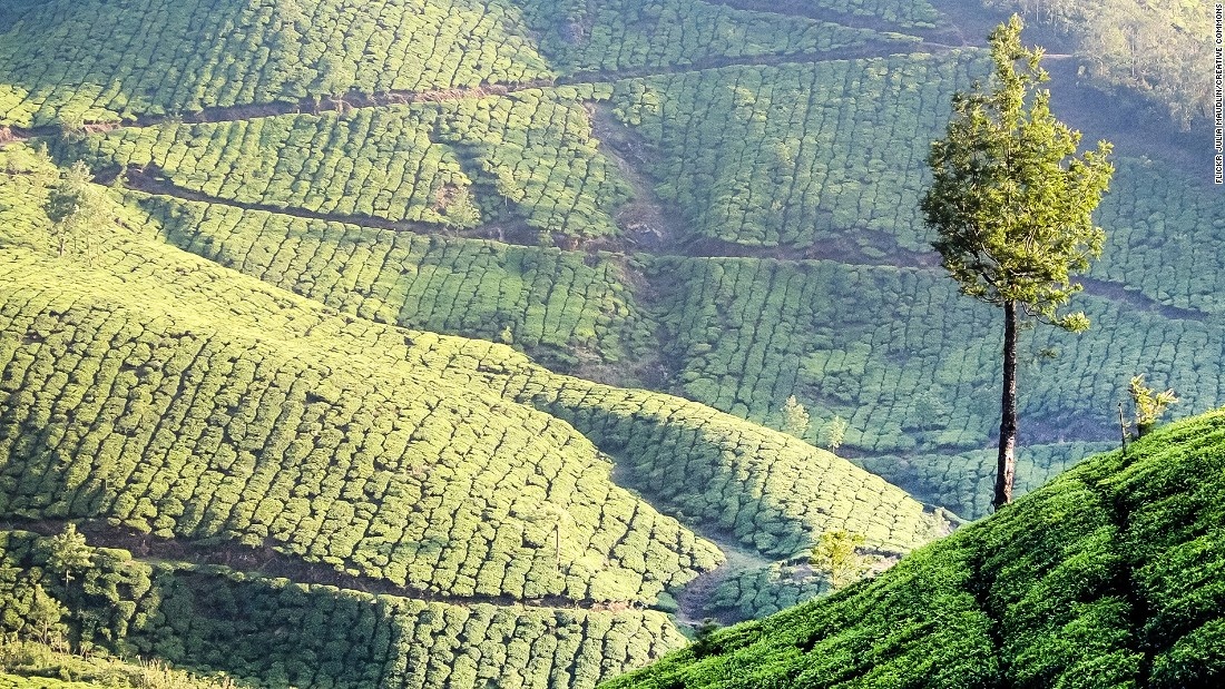 Diem du lich o An Do anh 9