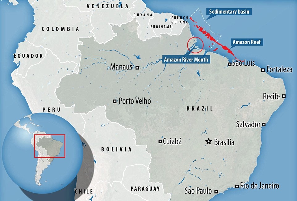 Vẻ đẹp của rạn san hô mới được phát hiện ảnh 8 Ve dep cua ran san ho moi duoc phat hien anh 8