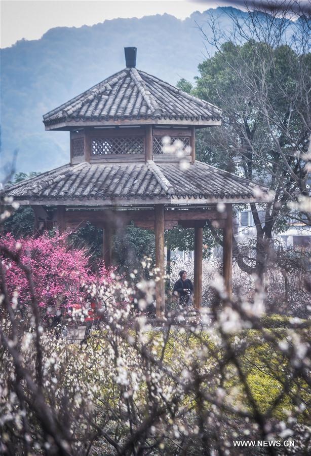 hoa man o Hang Chau anh 7