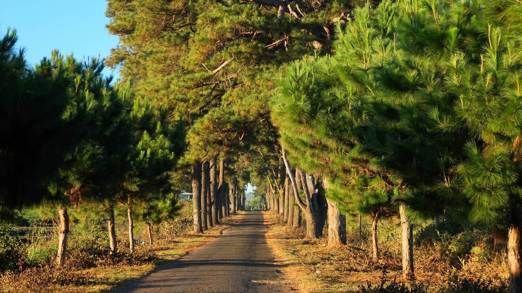 Pleiku ảnh 7 Pleiku anh 7