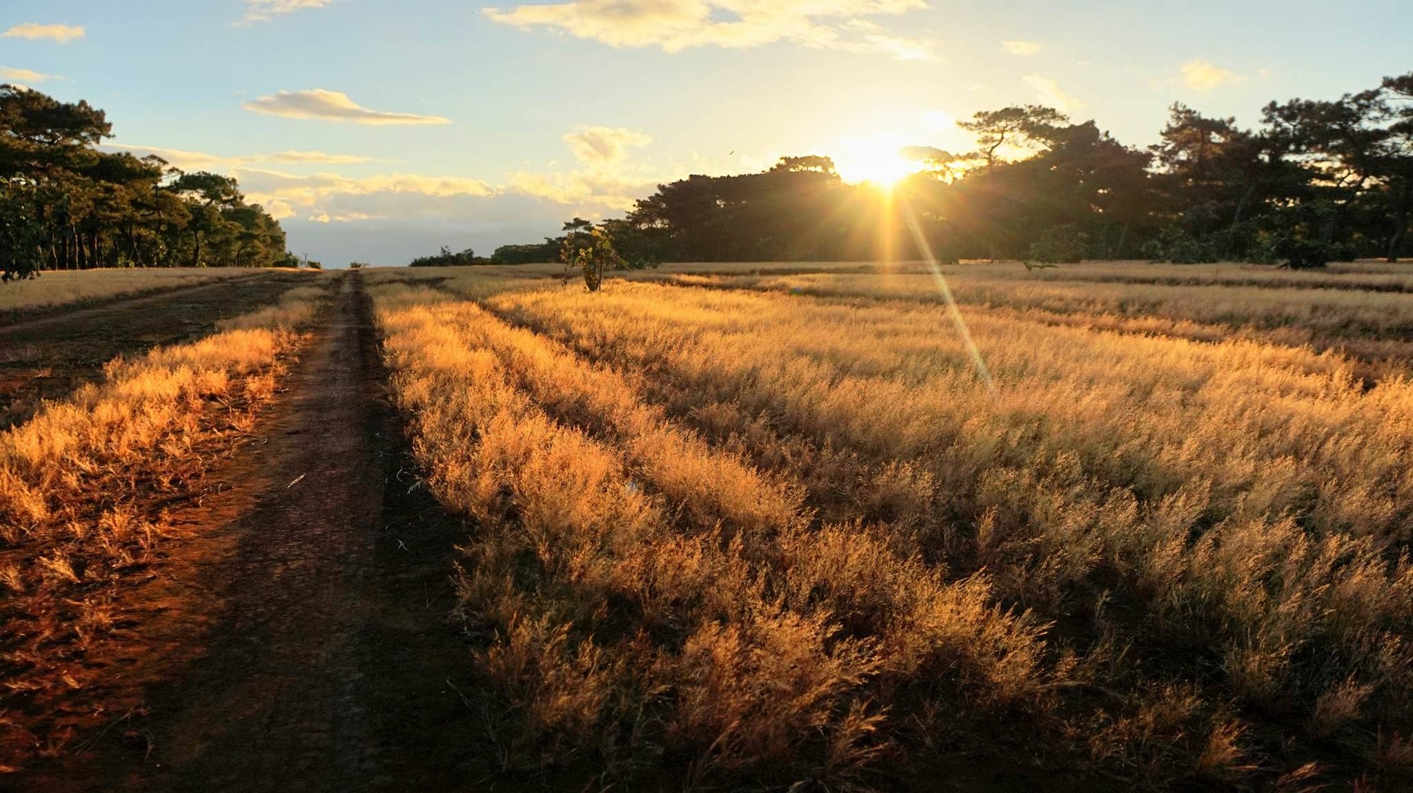 Pleiku ảnh 2 Pleiku anh 2