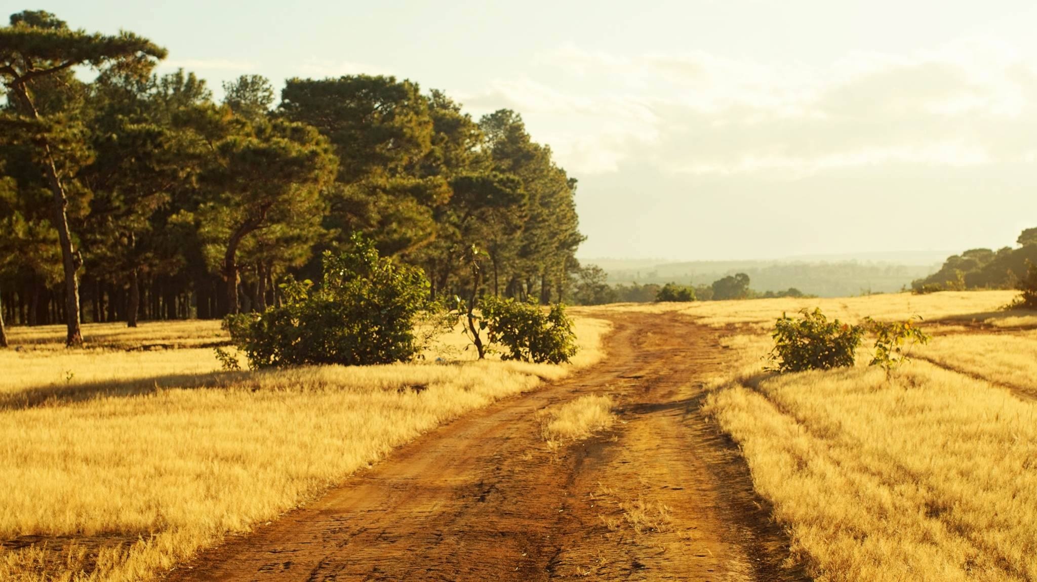 Pleiku ảnh 1 Pleiku anh 1