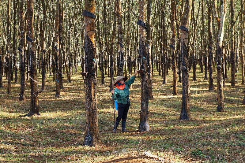 Pleiku ảnh 6 Pleiku anh 6