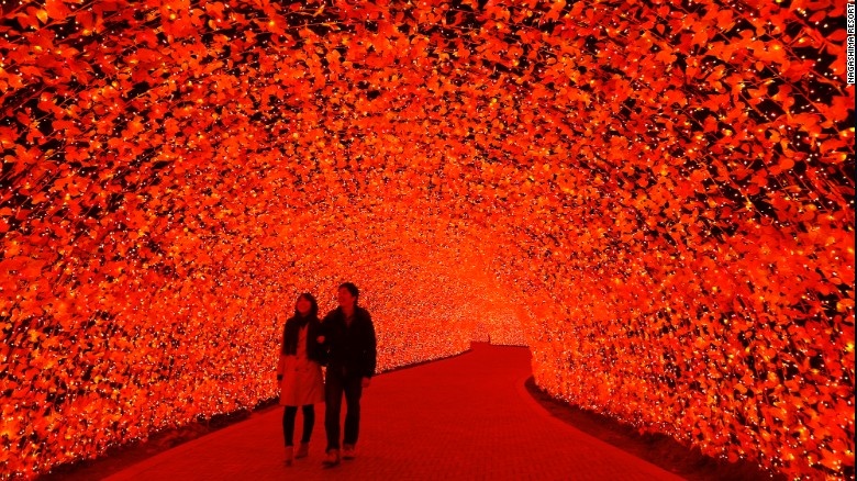 Le hoi anh sang ruc ro voi 8 trieu bong den LED o Nhat hinh anh