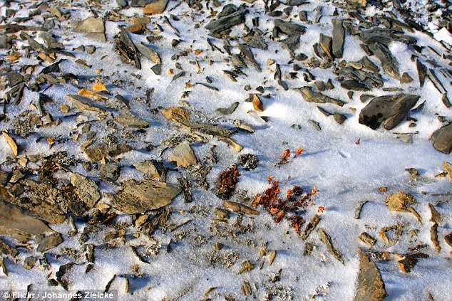 Noi xa nhat phia bac co nguoi sinh song anh 9