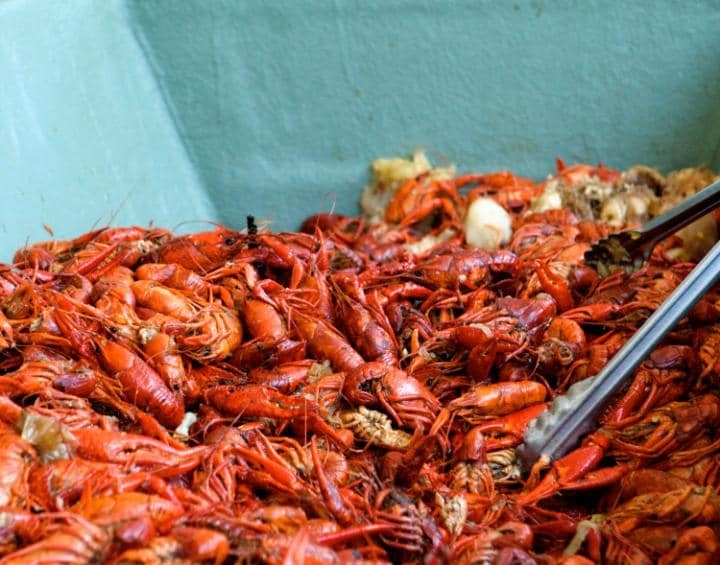 cac thien duong am thuc tren the gioi anh 9