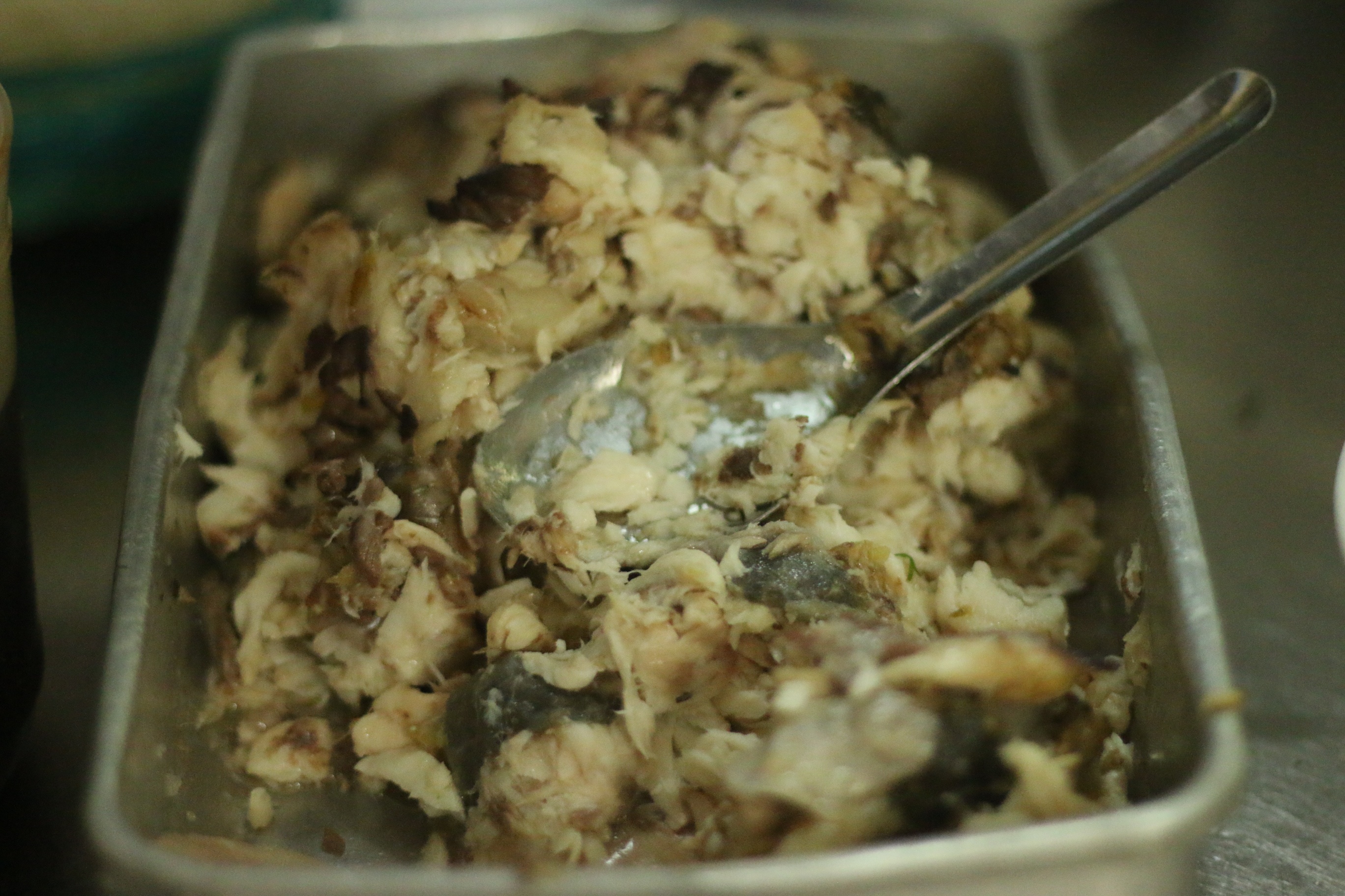 chao ca Hang Bong anh 2