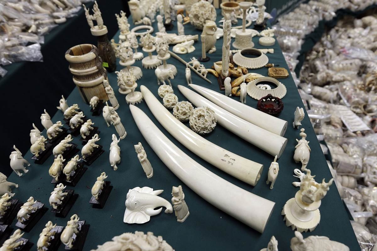 kinh nghiem du lich anh 12