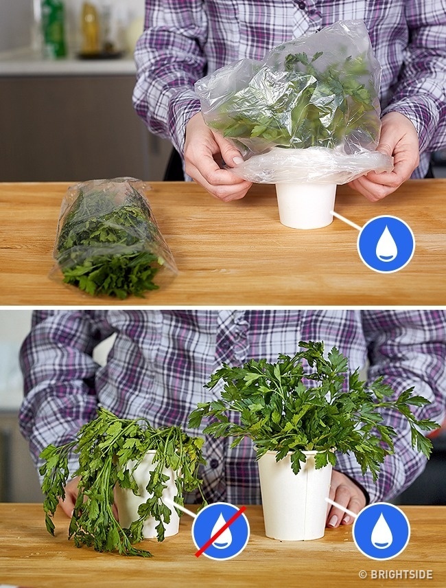 Su that ve cac meo vat nau an anh 14