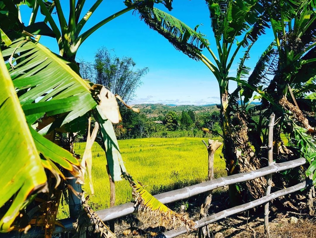 Làng cổ miền Trung ảnh 7 Lang co mien Trung anh 7