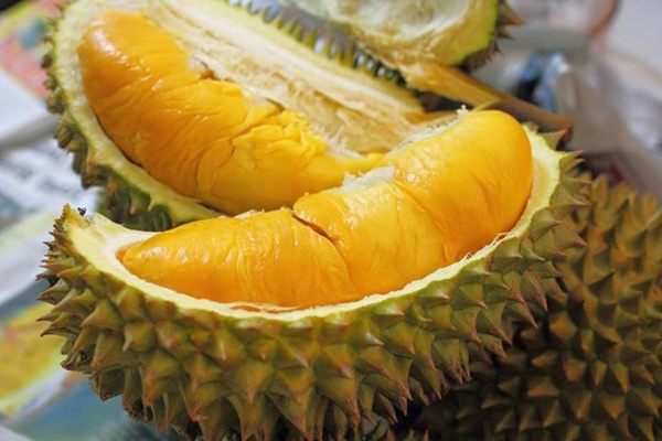 Sau rieng chua benh 'sau chung' doi lua hinh anh