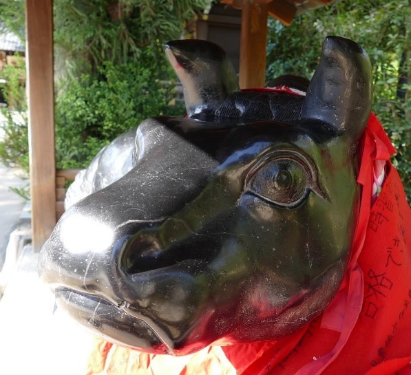 nhung dieu nen lam o Kyoto anh 11