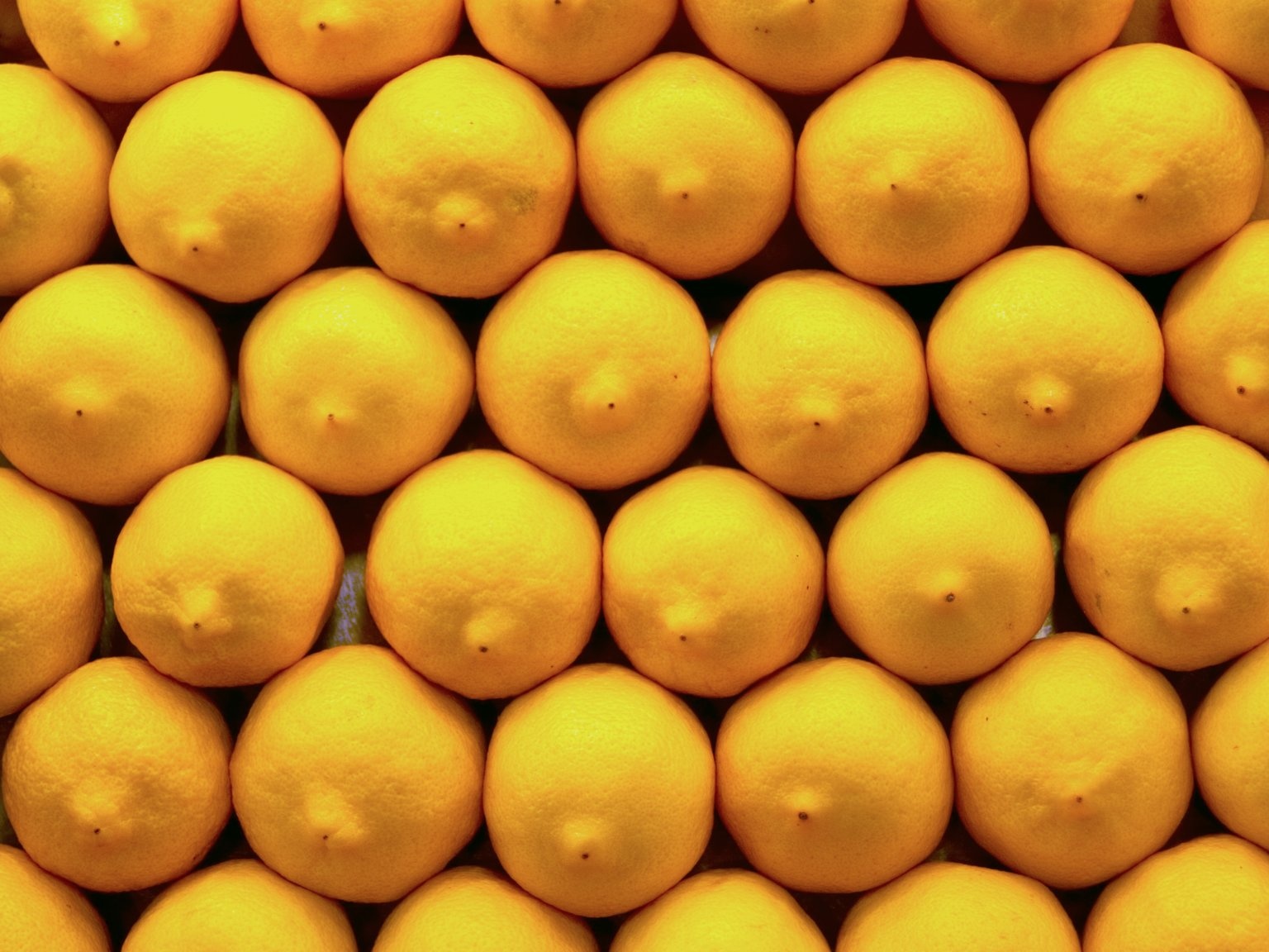 nhung meo nau an ai cung nen biet anh 5