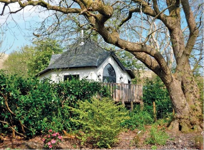 nha tren cay dep anh 5