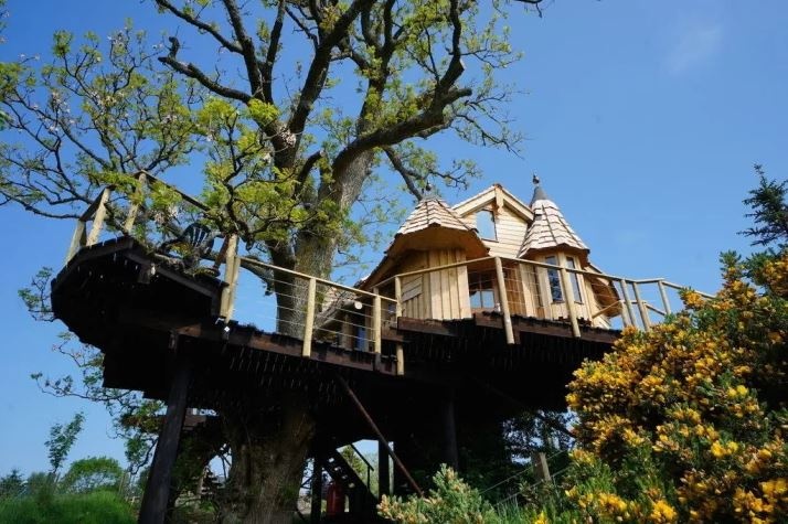 nha tren cay dep anh 6