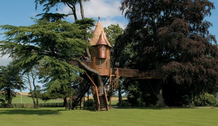 nha tren cay dep anh 7