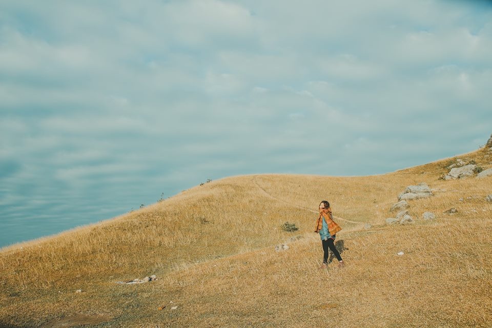 Cam trai tai Cao nguyen Dong Cao anh 8