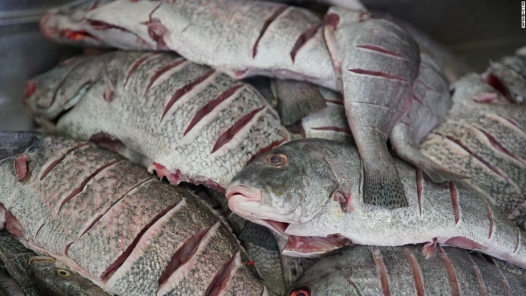 cua hang ca Bu Qtair Dubai anh 1