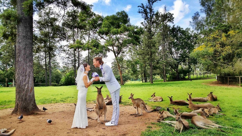 cap doi ket hon 100 lan khap the gioi anh 7