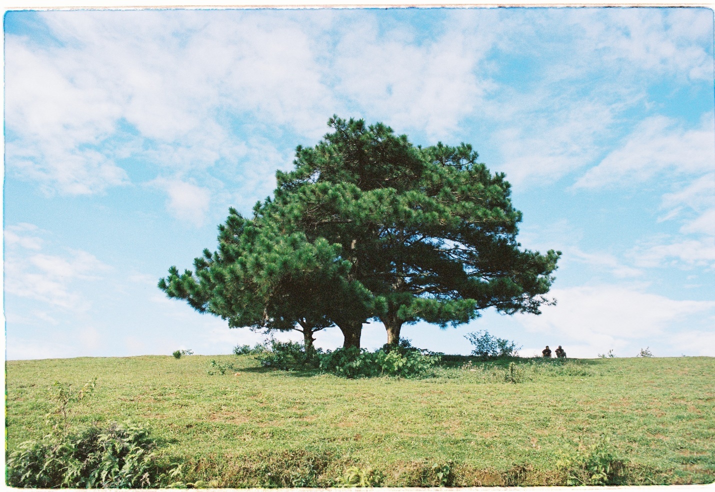 Chang trai di du lich doc Nam Trung Bo anh 17