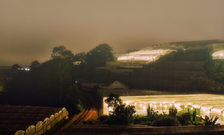 Da Lat mong mo anh 4