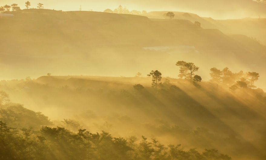 Da Lat mong mo anh 7