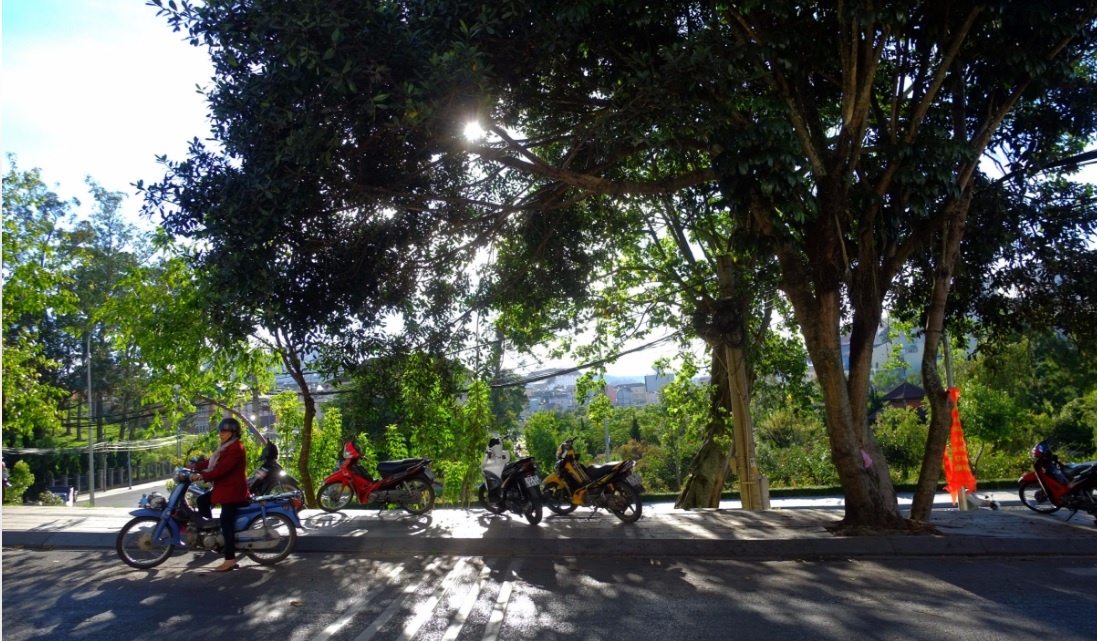 Da Lat mong mo anh 8