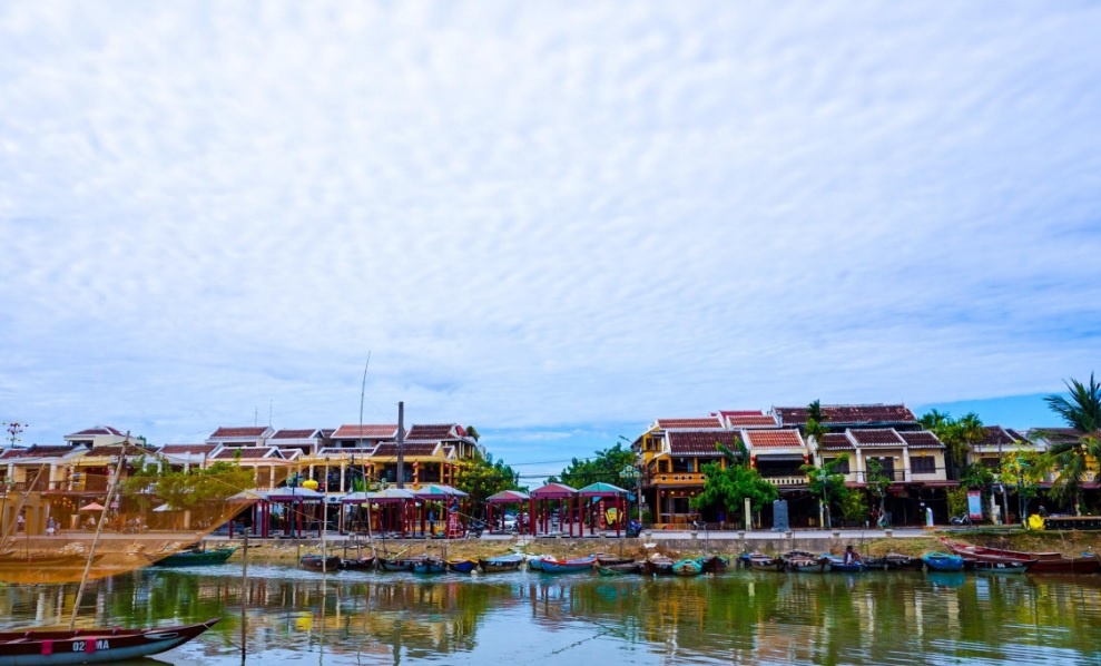 Dau an Viet Nam anh 10