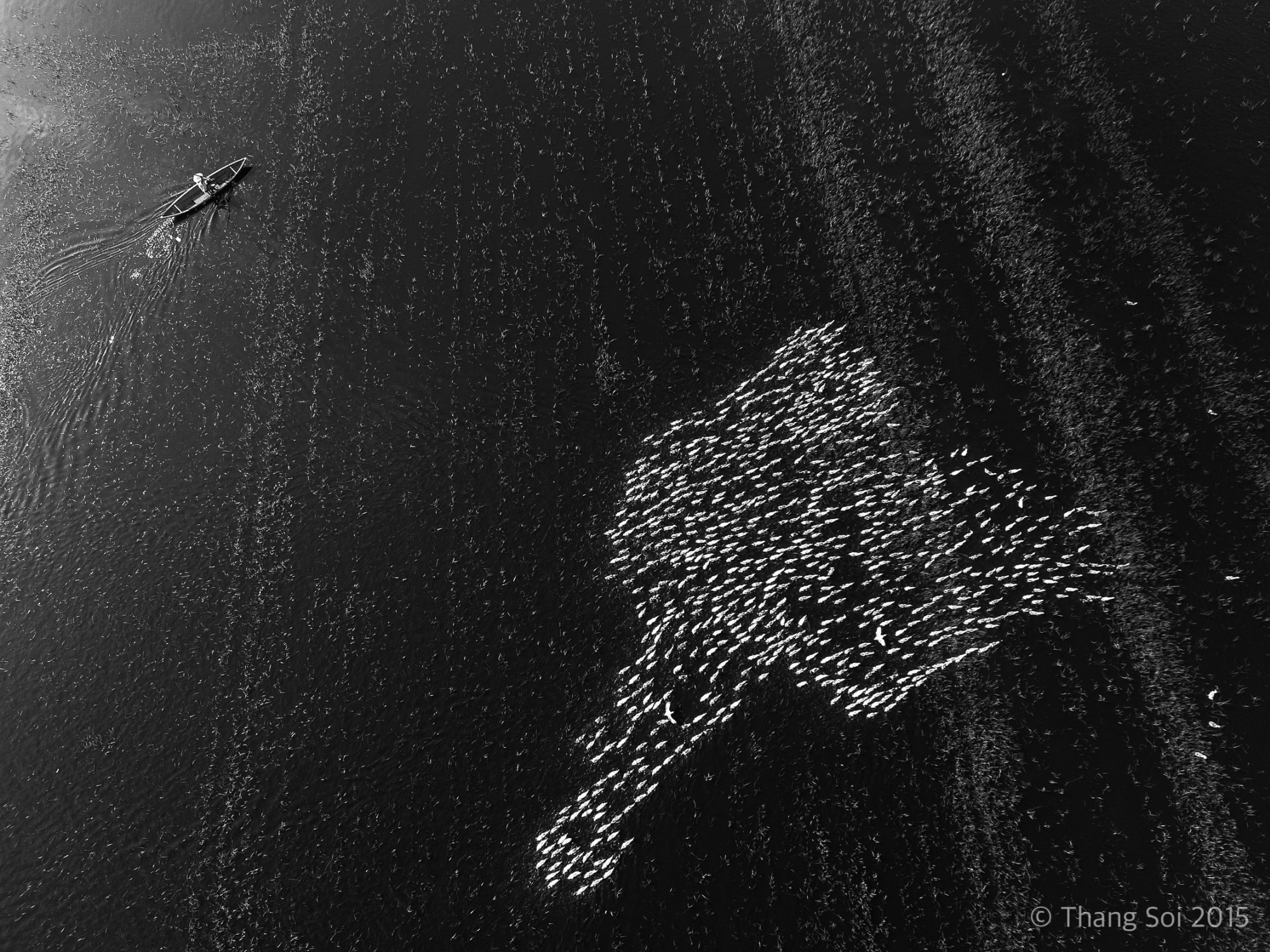 Dau an Viet Nam tu flycam cua nhiep anh gia Le The Thang anh 6