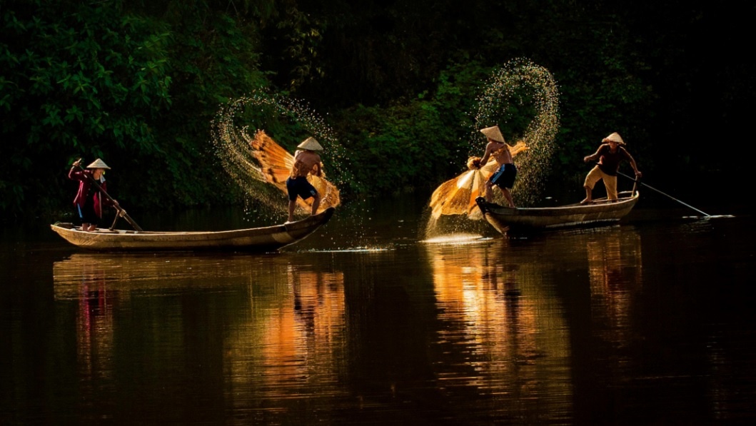 Dau an Viet Nam anh 1