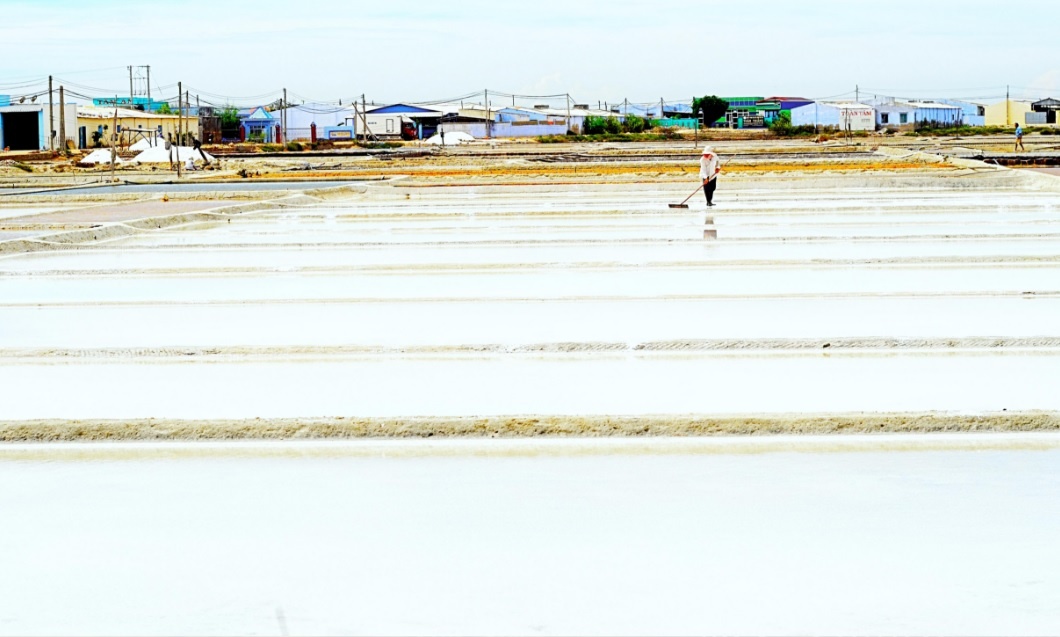 Dau an Viet Nam anh 8