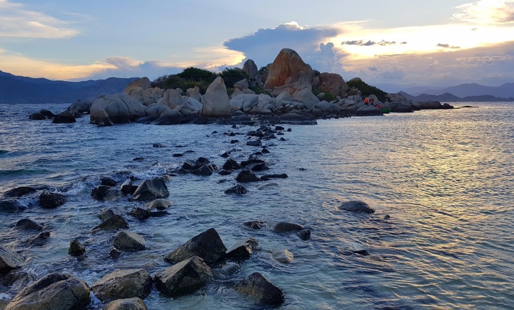 Dau an Viet Nam anh 4