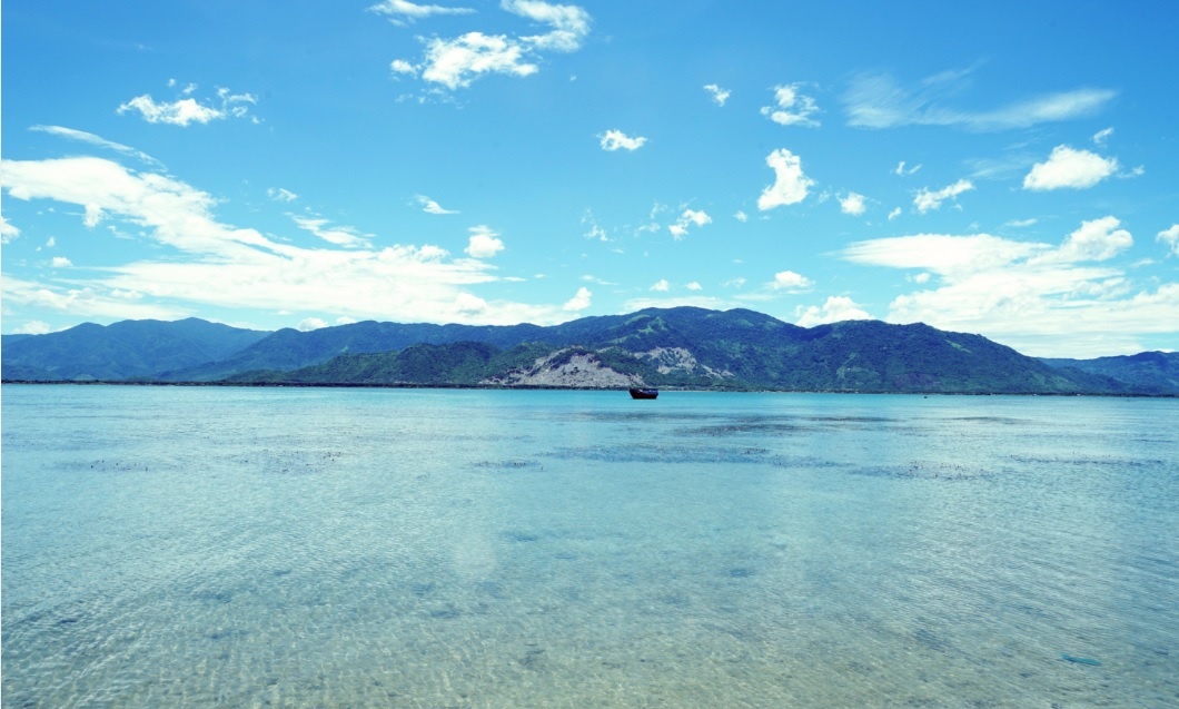 Dau an Viet Nam anh 5