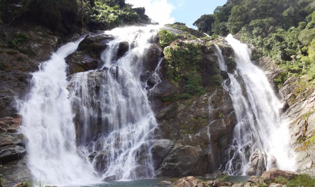 Dau an Viet Nam anh 6