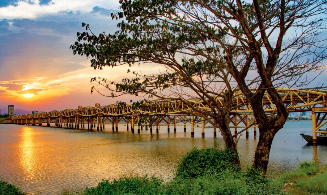 Nhung cay cau tuyet dep anh 3